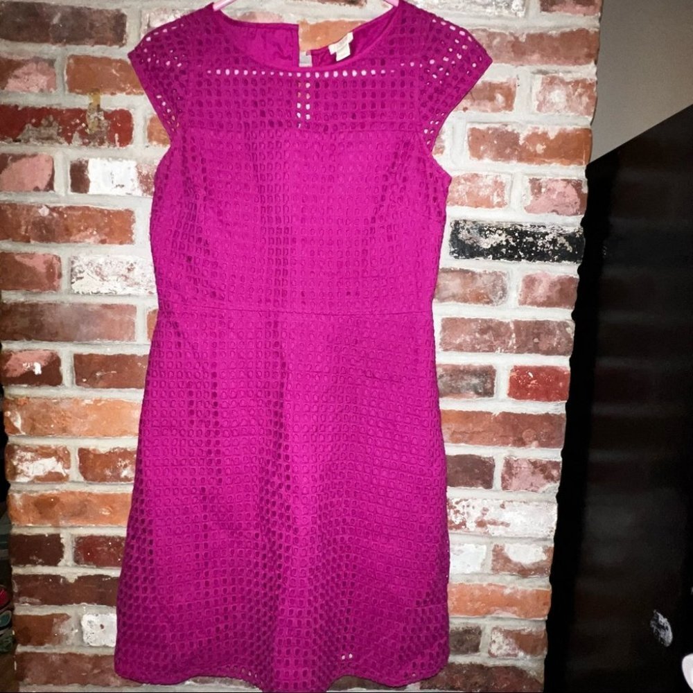 J crew Factory Eyelet Dress